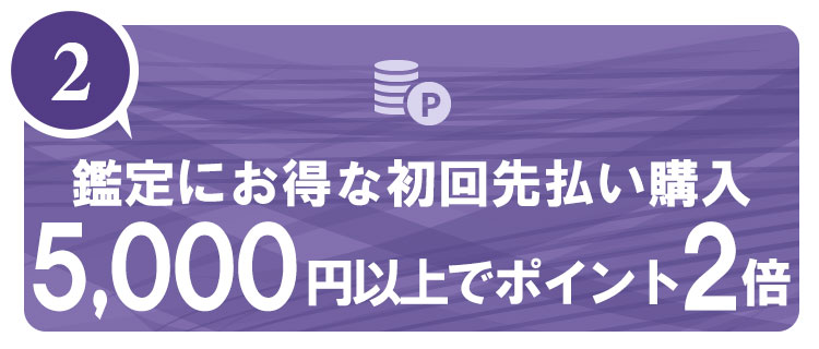 電話占いヴェルニ無料の初回特典　その２「初回先払い5,000円以上でポイントがなんと２倍に」